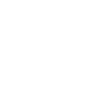 ARAVEN GROUP