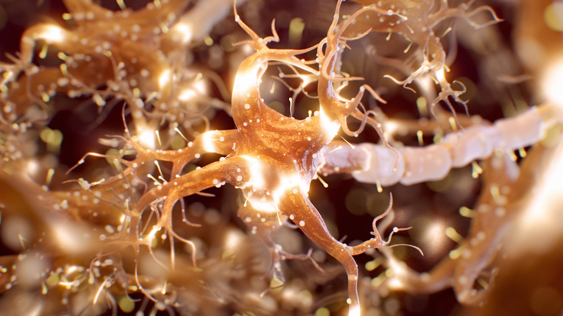 Que esta Navidad te traiga capazos